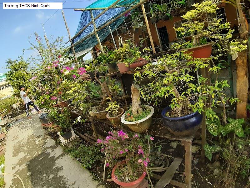 Trường THCS Ninh Quới